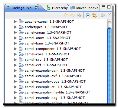 Package Explorer with Maven Version Decorator Enabled