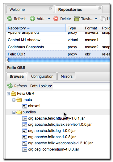 Cached Bundles from a Remote OBR Repository